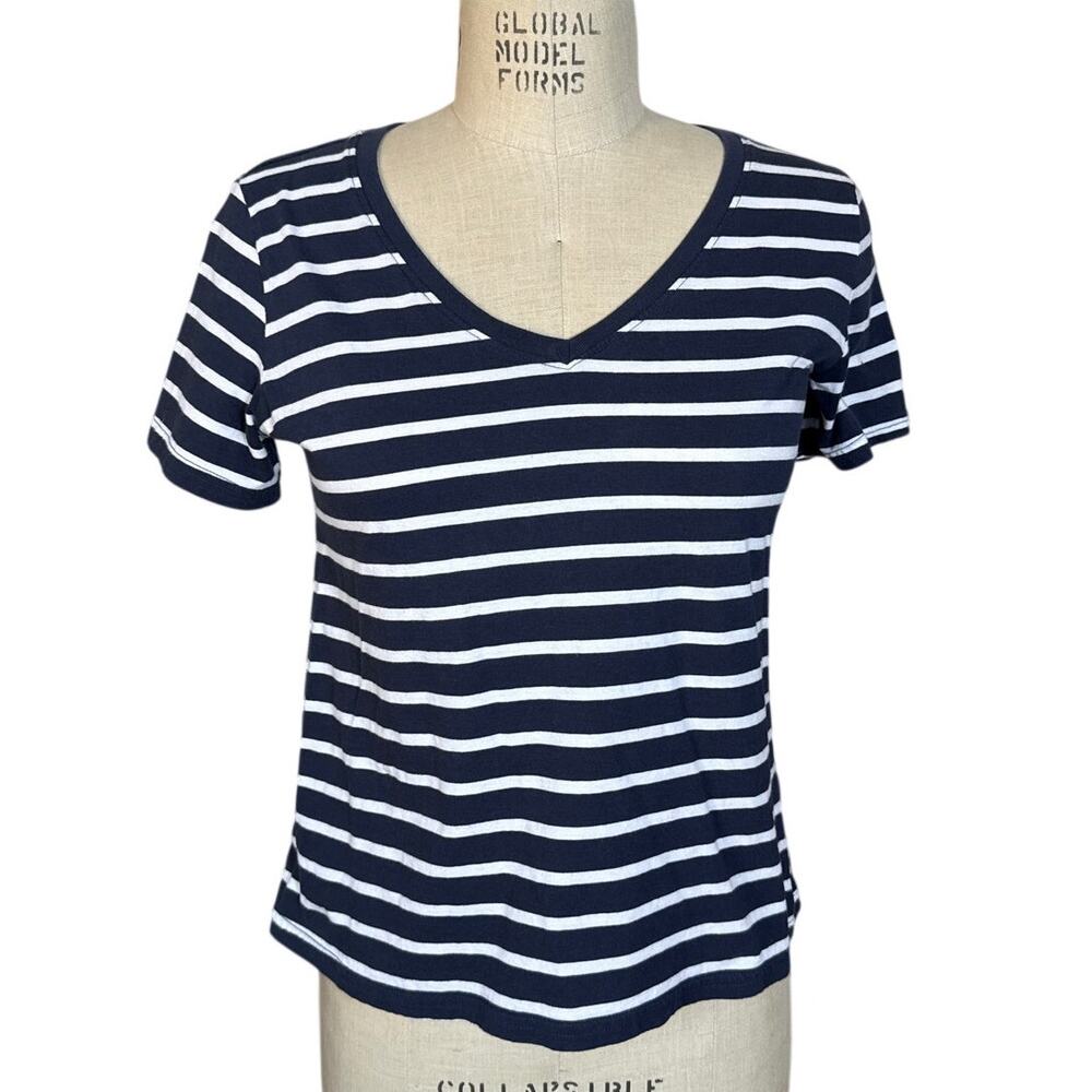 Pact Striped V-Neck T-Shirt in Blue & White Size Small